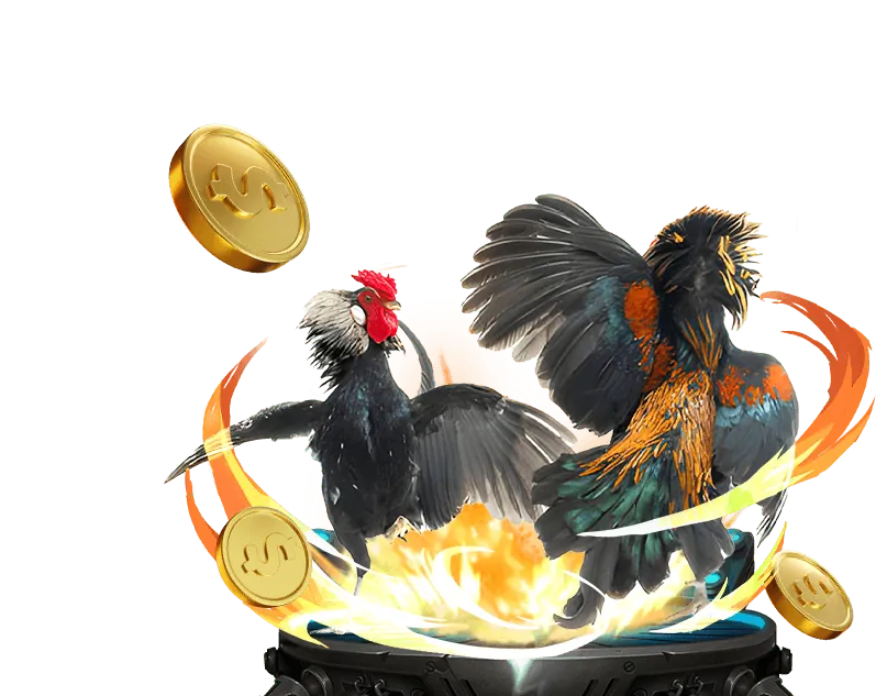 Quy tắc trò chơi và cá cược công bằng tại Fun88